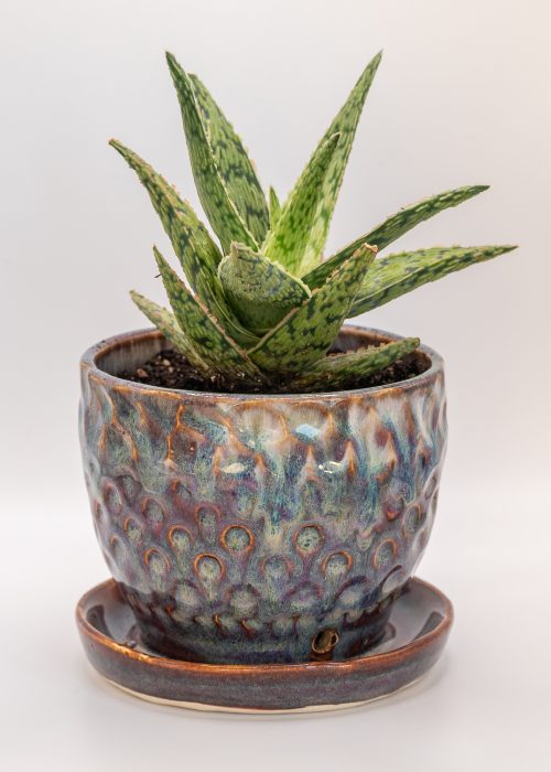 Nebula Drift Planter
