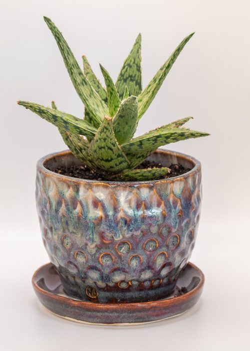 Nebula Drift Planter - Image 2